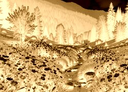 Sepia + Negatyw