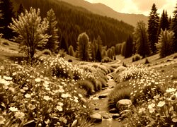 Sepia