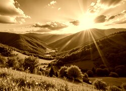 Sepia