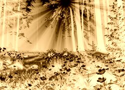Sepia + Negatyw