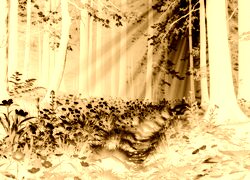 Sepia + Negatyw