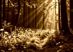 Sepia