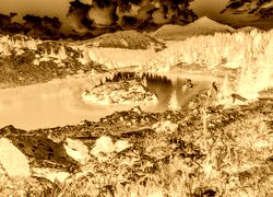 Sepia + Negatyw