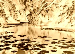 Sepia + Negatyw
