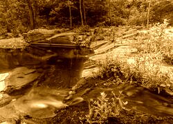 Sepia