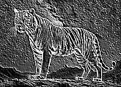 Skamielina