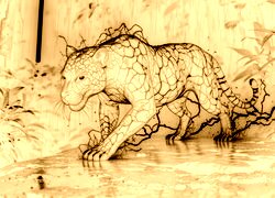 Sepia + Negatyw