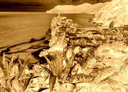 Sepia + Negatyw