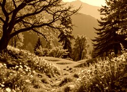 Sepia