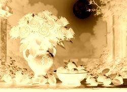 Sepia + Negatyw