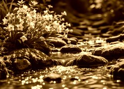 Sepia
