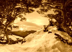 Sepia