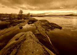 Sepia