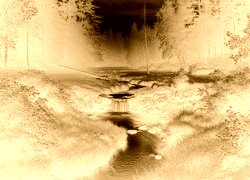 Sepia + Negatyw