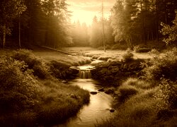 Sepia