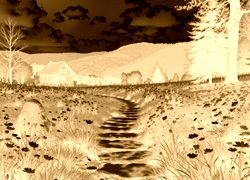 Sepia + Negatyw