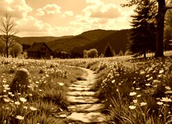 Sepia