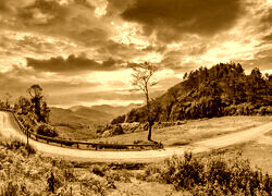 Sepia