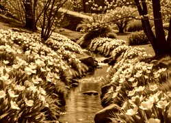 Sepia
