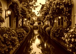 Sepia