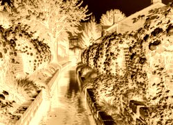 Sepia + Negatyw