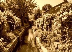 Sepia