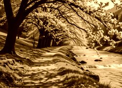 Sepia
