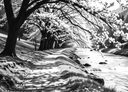 Szary + Sepia