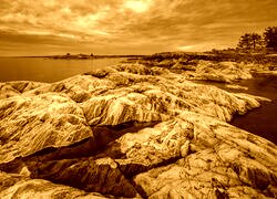 Sepia