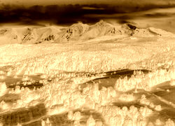 Sepia + Negatyw