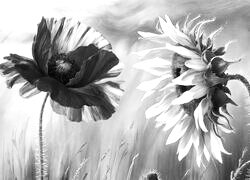 Szary + Sepia