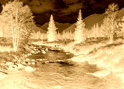 Sepia + Negatyw