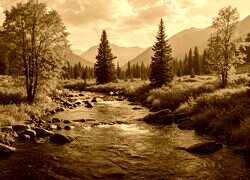 Sepia