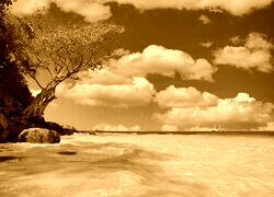 Sepia