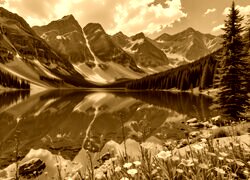 Sepia