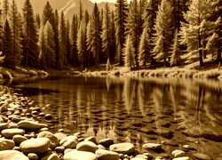 Sepia