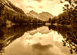 Sepia