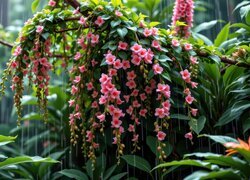 Oryginalny obrazek