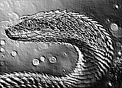 Skamielina