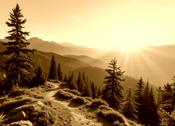 Sepia