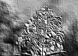 Skamielina