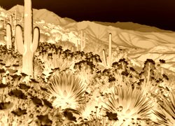 Sepia + Negatyw
