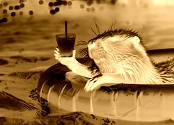 Sepia + Negatyw