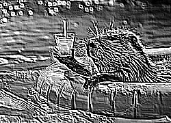 Skamielina