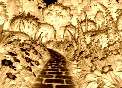 Sepia + Negatyw