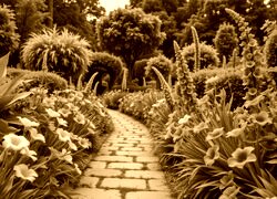 Sepia