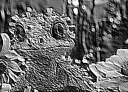 Skamielina
