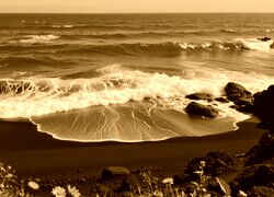 Sepia