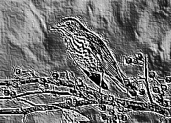 Skamielina