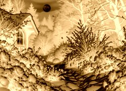 Sepia + Negatyw